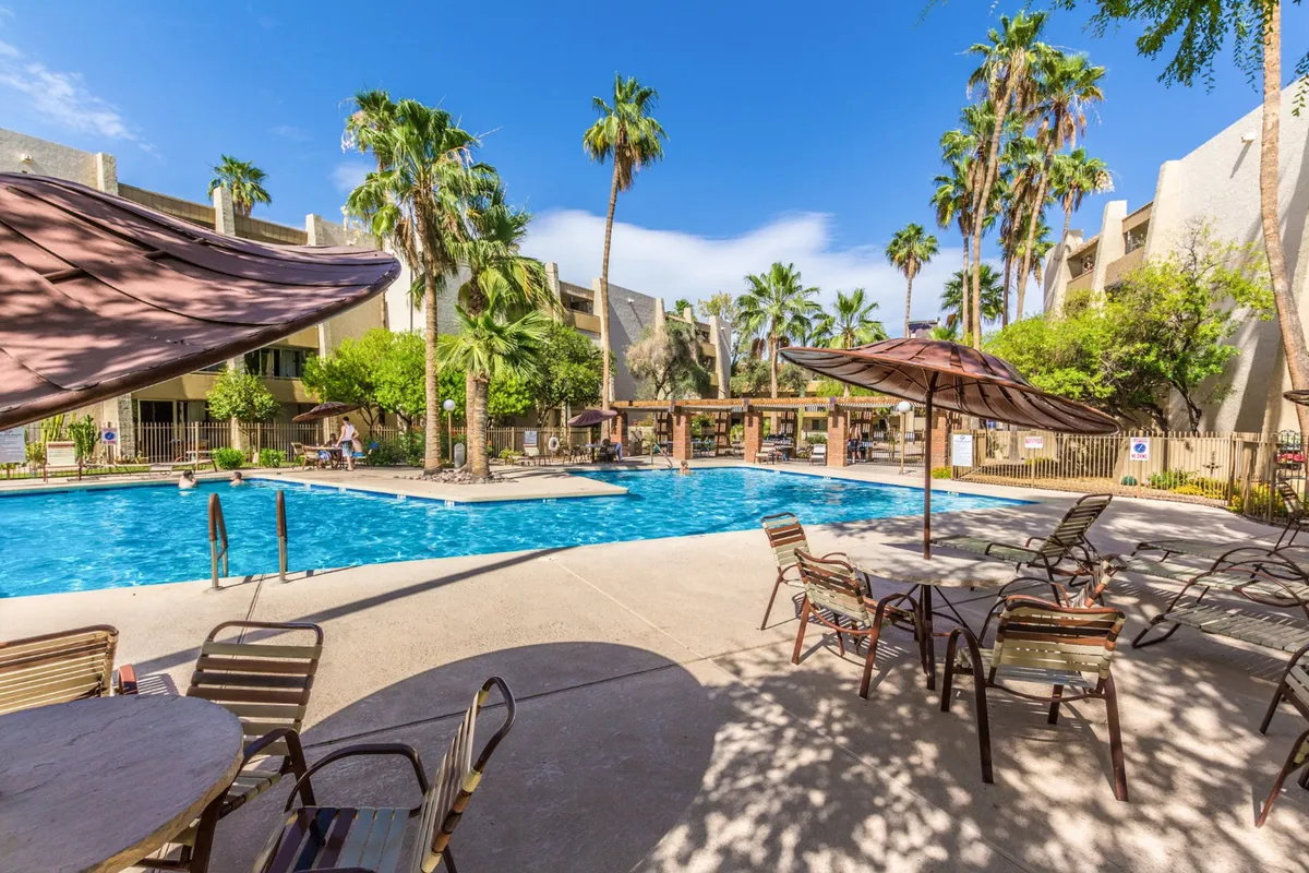 This image features a sparkling swimming pool surrounded by palm trees, sun loungers, and umbrellas. The tranquil setting suggests opportunities for both active swimming and leisurely relaxation, with hints of social gatherings and sunset ambiance.